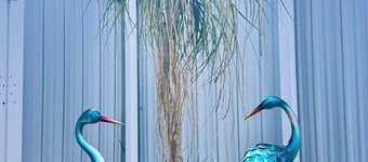 Charming 1 BR-1BH Studio with free WiFi and AC Easy Access to PBI & I-95