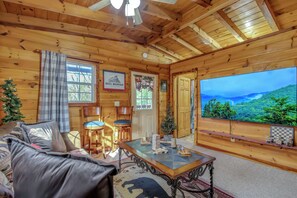 TV, fireplace, books, stereo