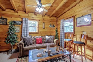 TV, fireplace, books, stereo