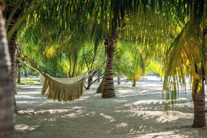 Accommodatie ligt op het strand