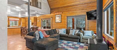 Televisor, llar de foc, reproductor de DVD i llibres