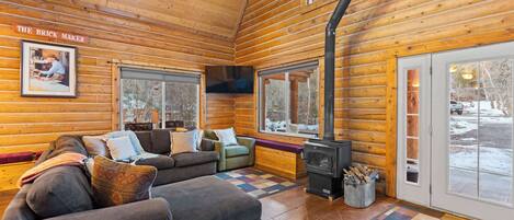 Télévision, cheminée, lecteur de DVD, livres