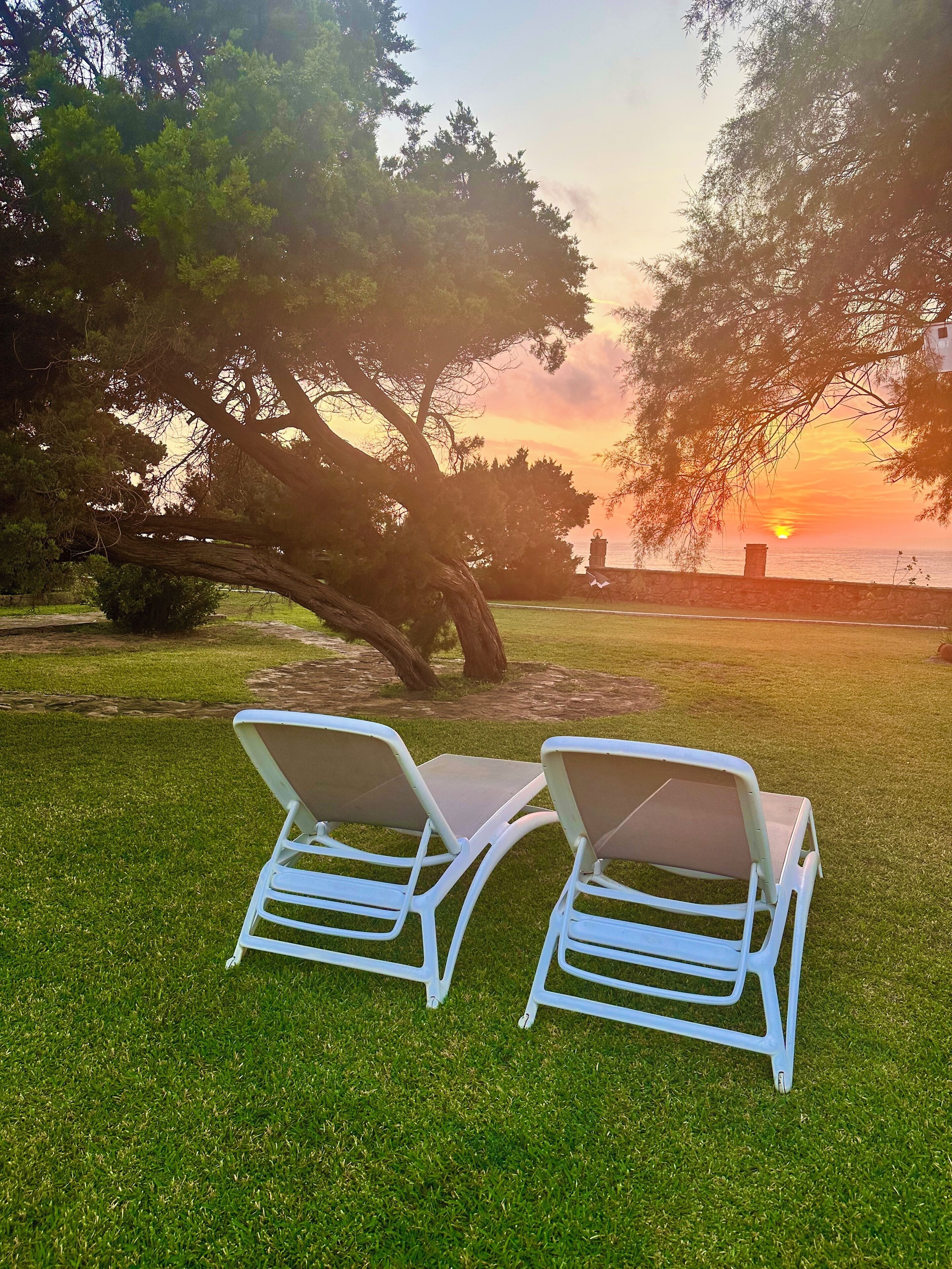 Two white lounge chairs on a grassy lawn with a large tree and a sunset in the background.
