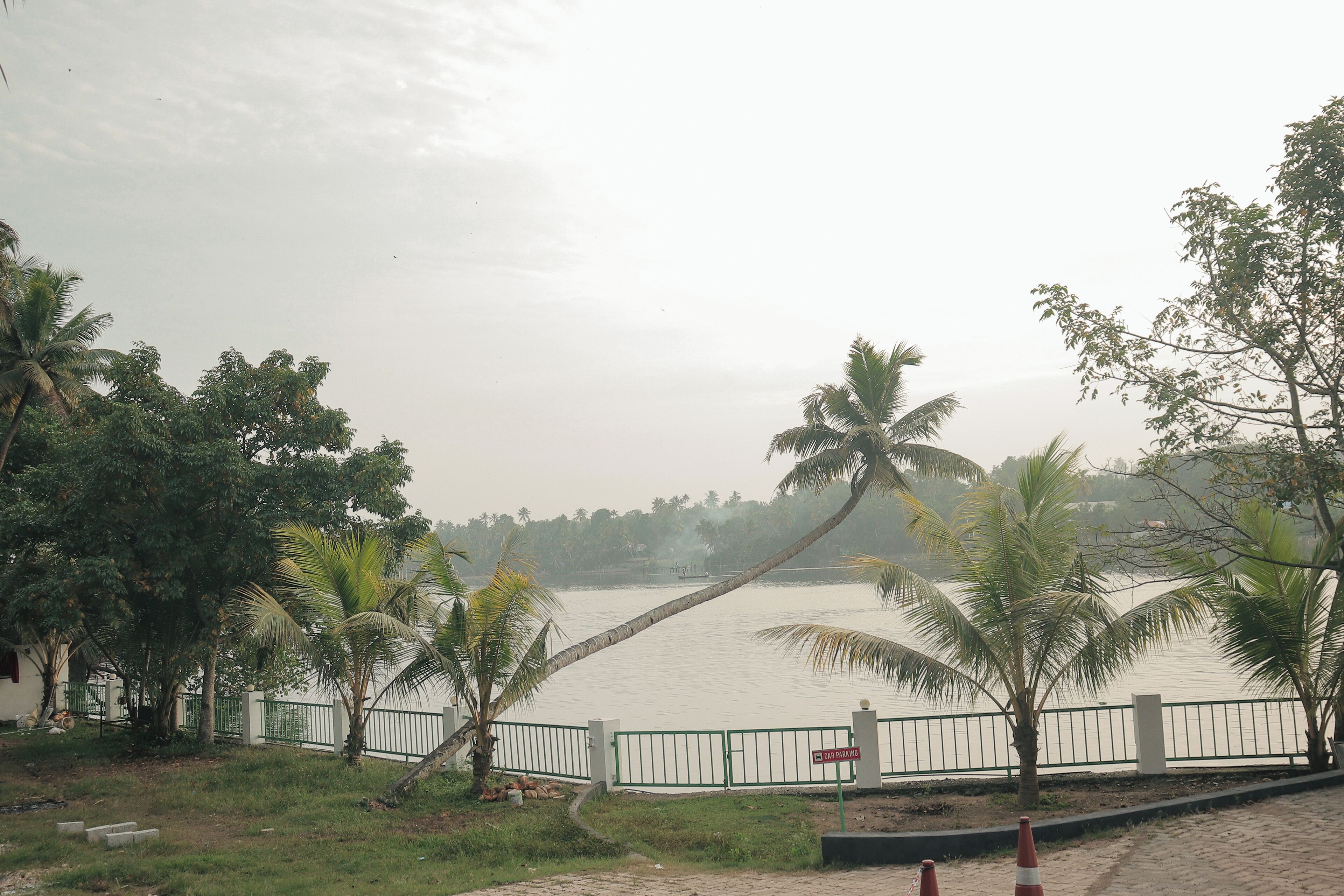 A view of a river with palm trees and a white fence.