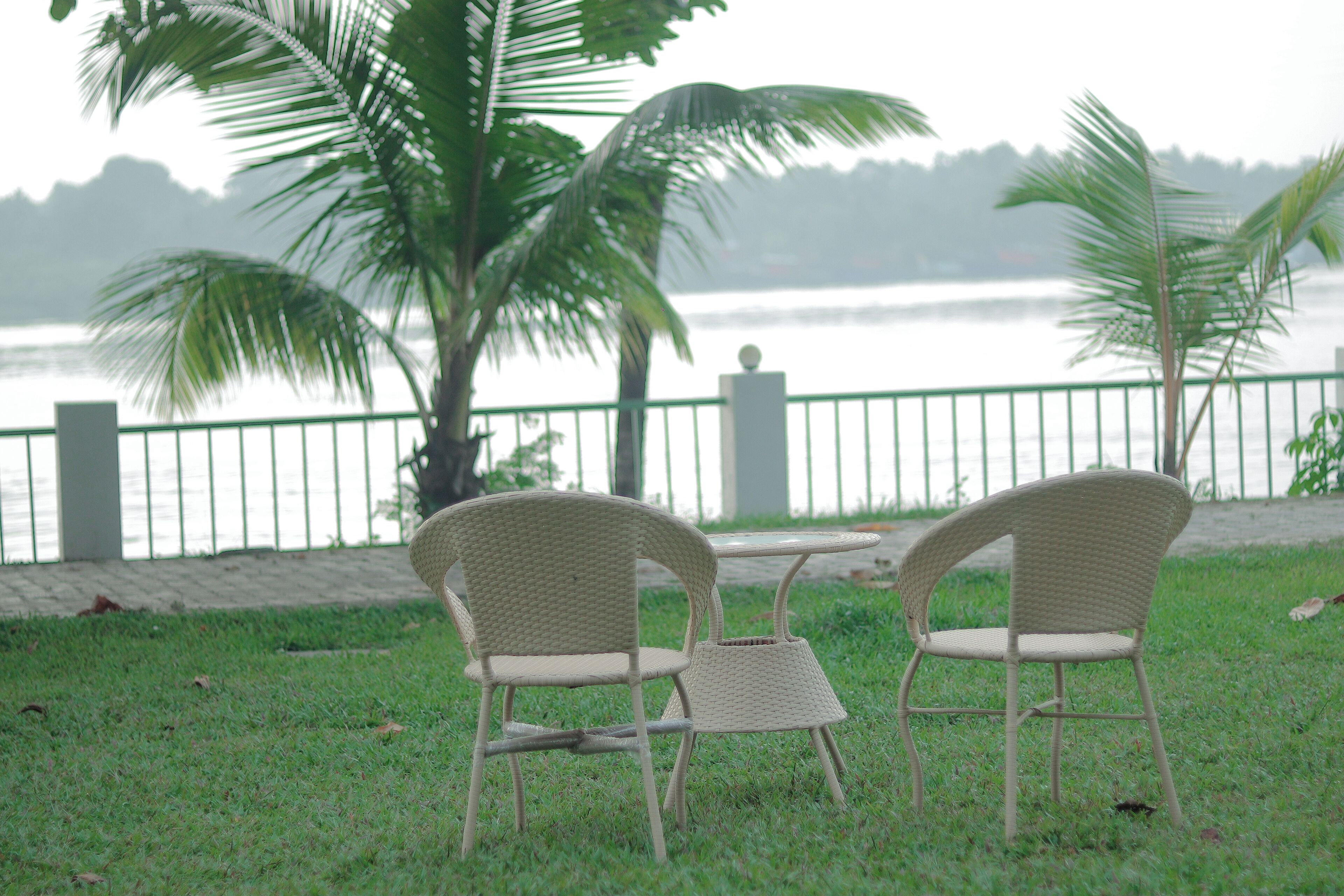 Two wicker chairs and a small table on a grassy area with a view of a body of water and a fence in the background.