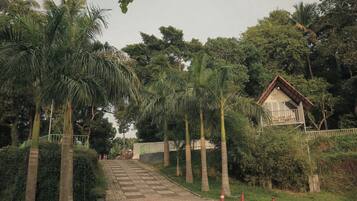 A pathway lined with palm trees leading to a building with a checkered roof.