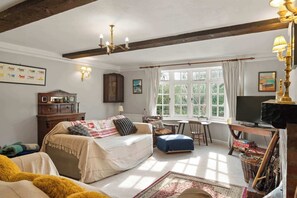 Una televisión, una chimenea, libros, una oficina