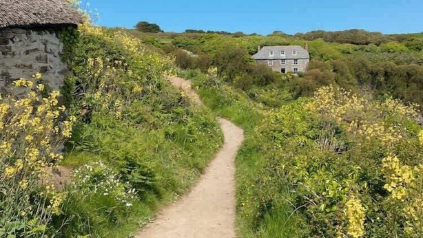 A narrow dirt path leading to a stone house with a thatched roof, surrounded by lush greenery and yellow flowers. - Homely Cottage & Garden nr Praa Sands & Marazion (Rosudgeon)