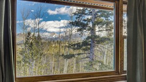 A window with a view of a forest and mountains.
