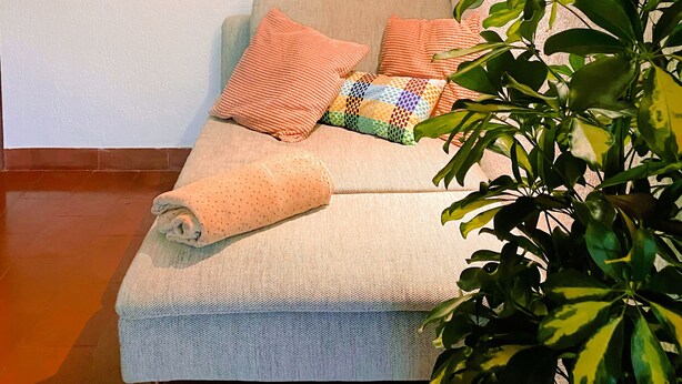 Ein gemütliches Zimmer mit einer Couch, Kissen, einer Wandleuchte und einer Pflanze.