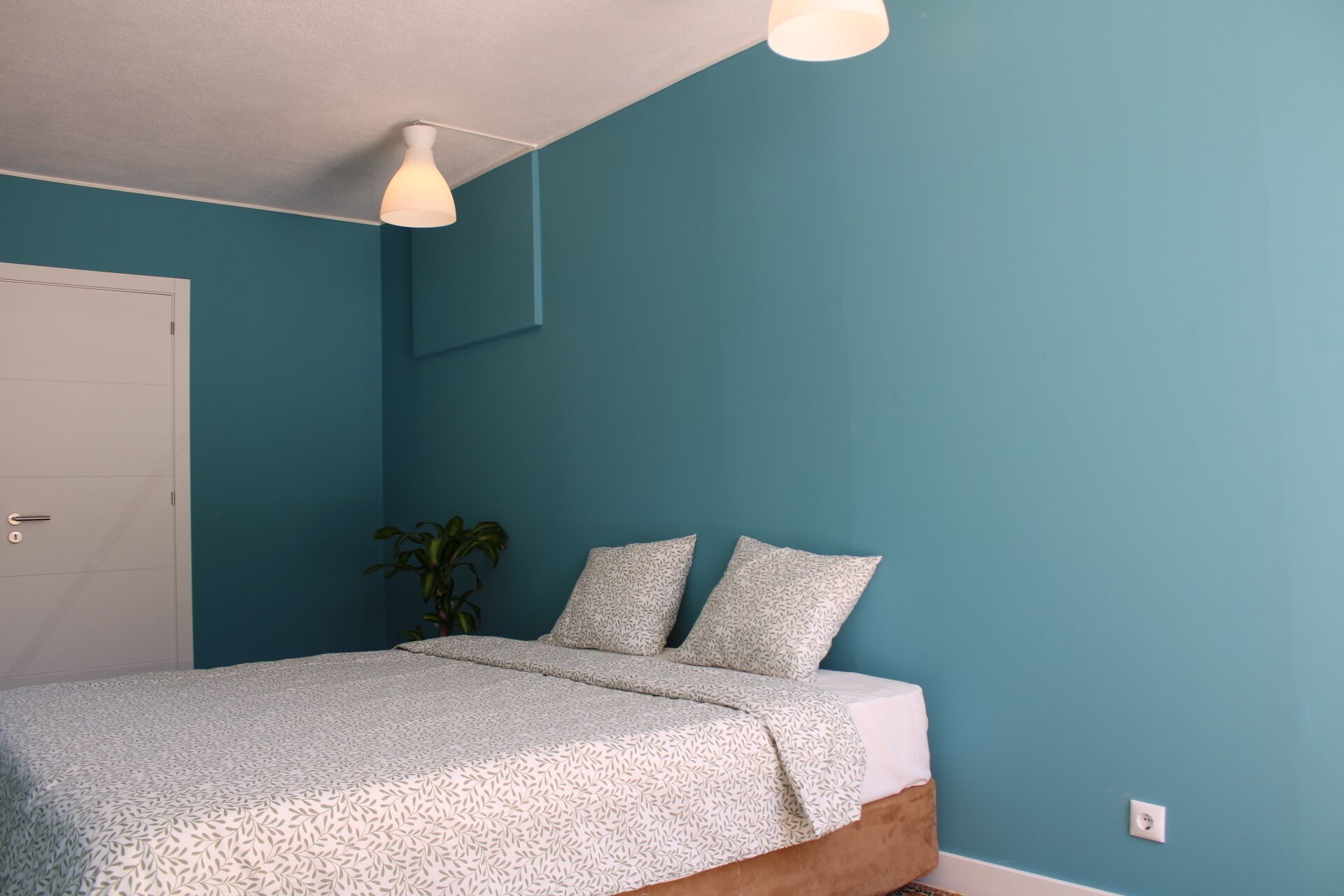 A bedroom with a teal wall, a white door, a bed with patterned bedding, and a potted plant.