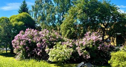 Charming Kemi Apartment with Sauna department & Free Parking