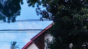 Ein zweistöckiges Gebäude mit rotem Dach, einem überdachten Eingangsbereich mit Sitzgelegenheiten und einer Palme im Hintergrund.