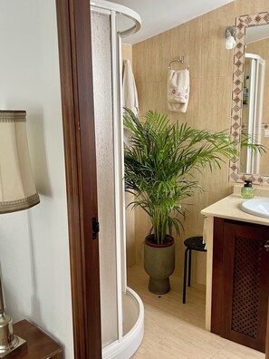 Secadora de cabello, bidet, toallas, jabón