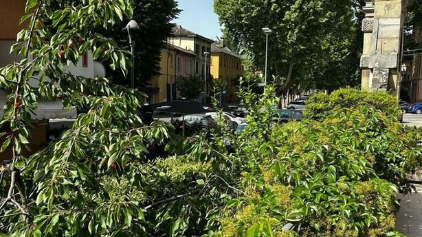 Classic Quadruple Room | Terrace/patio - Hotel Mistrello (Borgo Val di Taro)