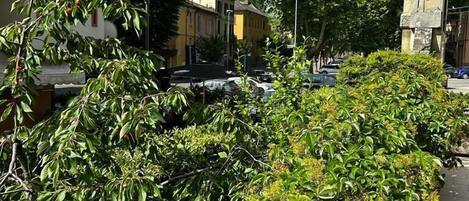 Classic Quadruple Room | Terrace/patio