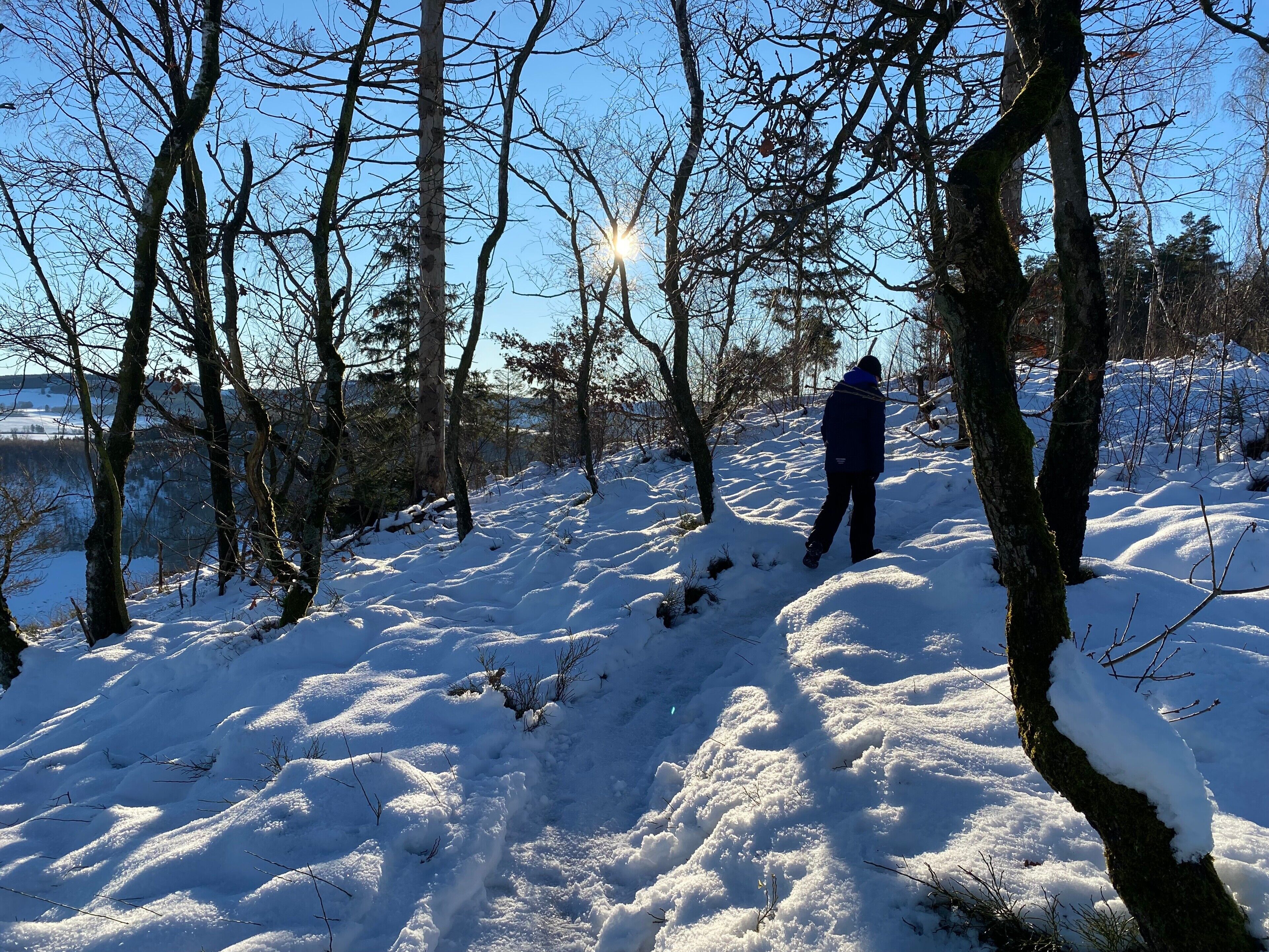 Ein verschneiter Wald mit einer wandernden Person.