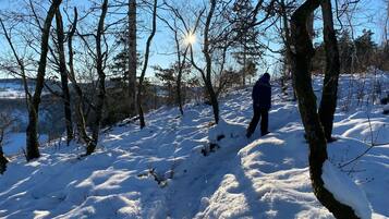 Ein verschneiter Wald mit einer wandernden Person.