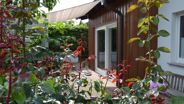 Un jardín con diversas plantas y una casa de madera con una ventana.