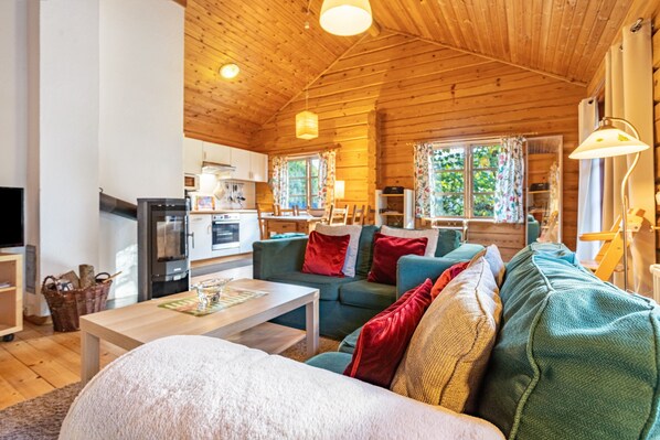 Tv, eldstad och en stereo