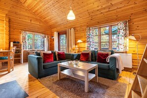 Tv, eldstad och en stereo