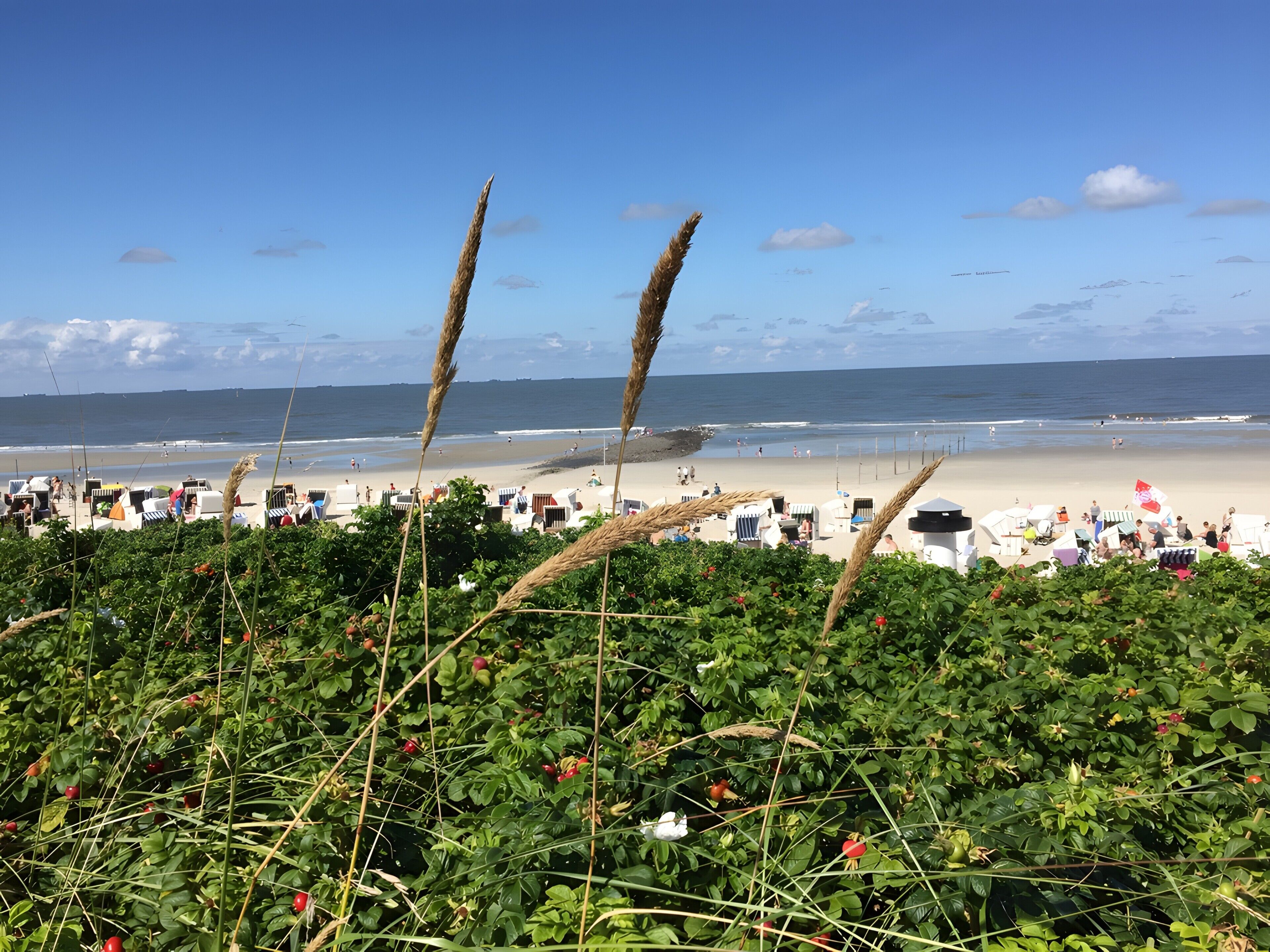 Ein Strand mit Blick auf das Meer, Liegestühle und Sonnenschirme.