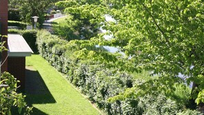 A well-maintained garden with a pathway, a brick structure, and dense foliage. - Apartment 'Jan, 35qm' with Balcony (Horumersiel-Schillig)