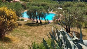 A pool surrounded by greenery, a clear sky, and distant hills. - Montagnana Country House - Relax and stunning view (San Gimignano)