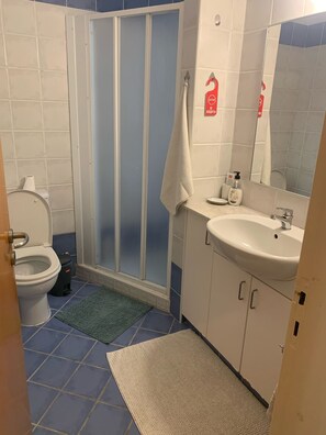 Hair dryer, towels, soap, toilet paper - 200 meters to sea (Meneou)