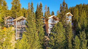 Un chalet moderne à plusieurs niveaux, entouré d’une forêt dense.