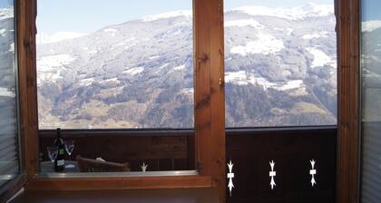 Holiday apartment near ski area