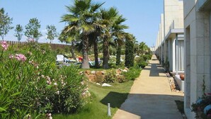 Un percorso fiancheggiato da palme e piante fiorite, che conduce a un edificio dallo stile architettonico moderno.