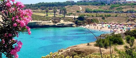 Una spiaggia nelle vicinanze