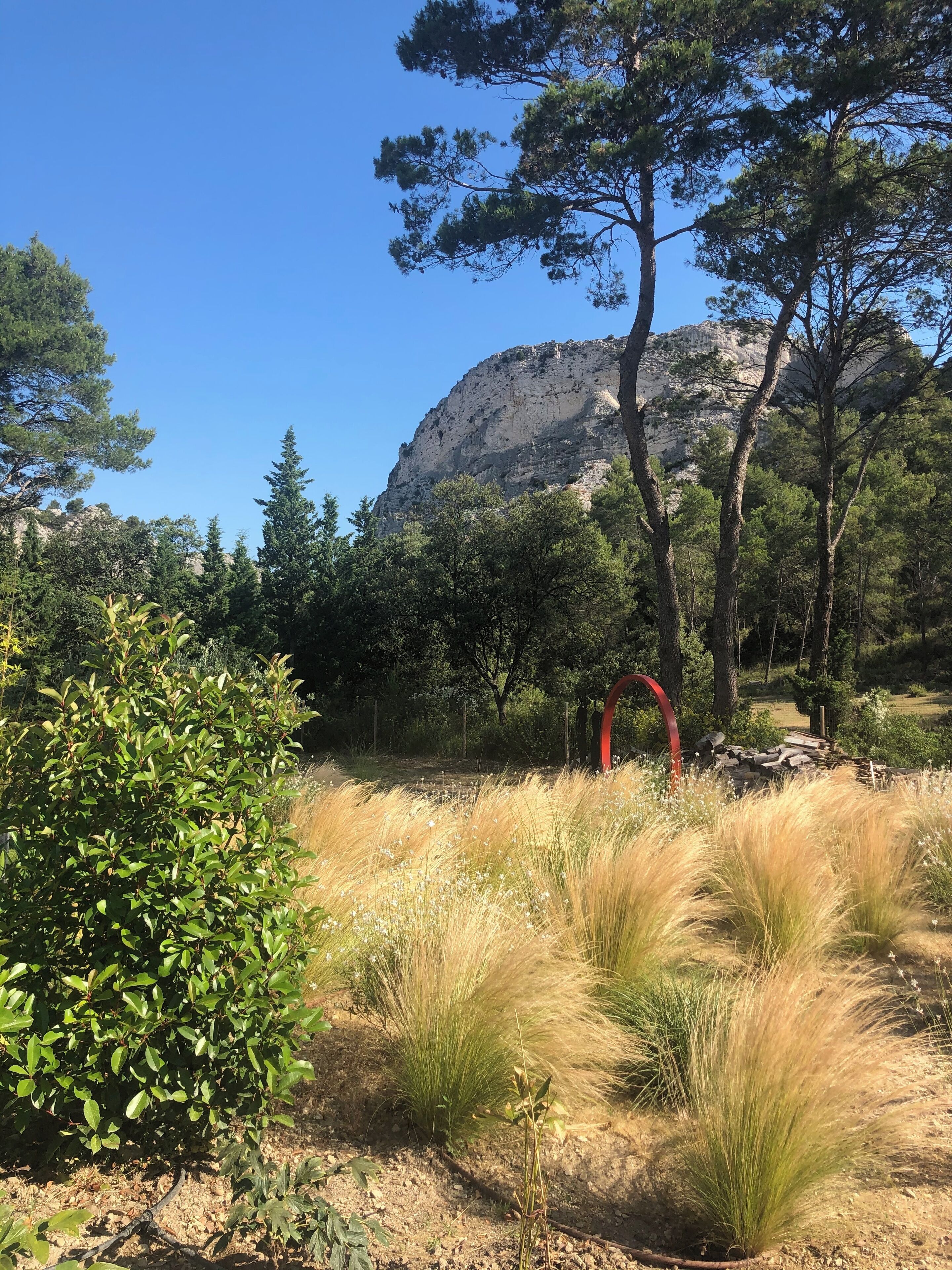 A natural landscape with trees, grass, and a rocky mountain in the background.