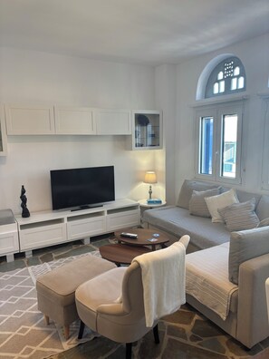 Smart TV, fireplace, books