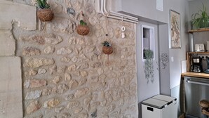 Une cuisine avec un mur en pierre, des plantes suspendues, une machine à café et un lave-vaisselle.