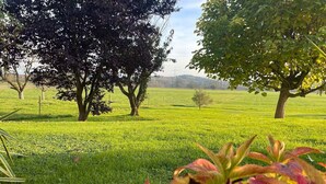 A grassy field with trees and a clear sky. - Holiday apartment - nature, peace and relaxation (Wangen im Allgäu)