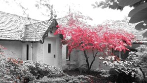A traditional building with a tiled roof, a white exterior, and a small window. - Beautiful private villa for 10 people with WIFI, TV, terrace, pets allowed and panoramic view (Inverness)