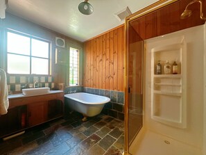 Ducha, secador de pelo y toallas