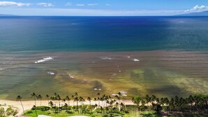 Vista costera con playa, palmeras y cielo azul despejado.