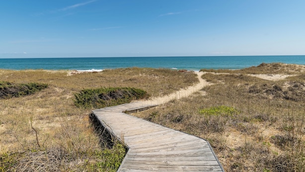 A wooden boardwalk leading to a beach with clear skies.