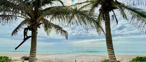 On the beach, sun-loungers, beach towels
