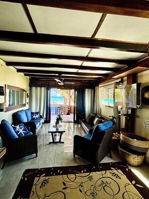 Smart TV, fireplace, books