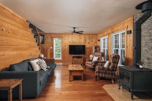 TV, fireplace, books