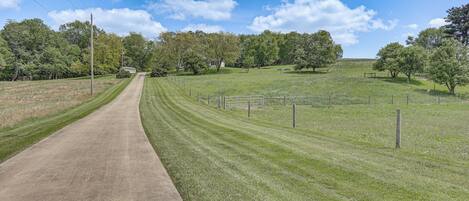 A rural road flanked by grassy fields and trees, leading to a distant building.