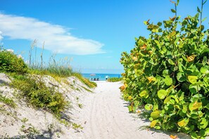 Beach nearby - Sea Grape Cottage - 1123   “Siesta Key” (Sarasota)