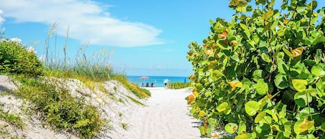 Beach nearby