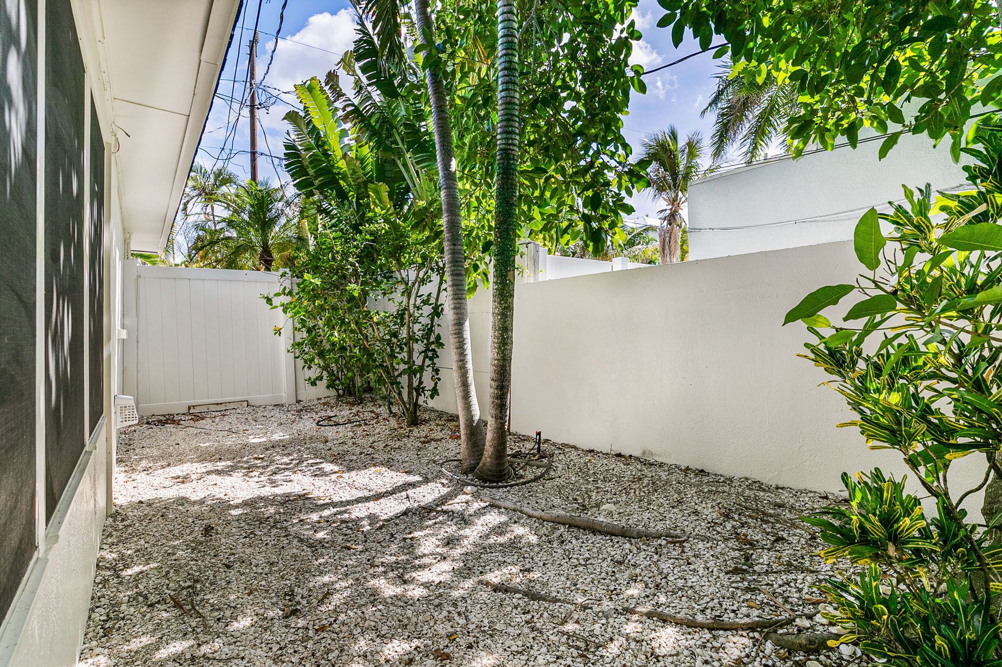 A courtyard with a palm tree, gravel ground, white walls, and a white fence.