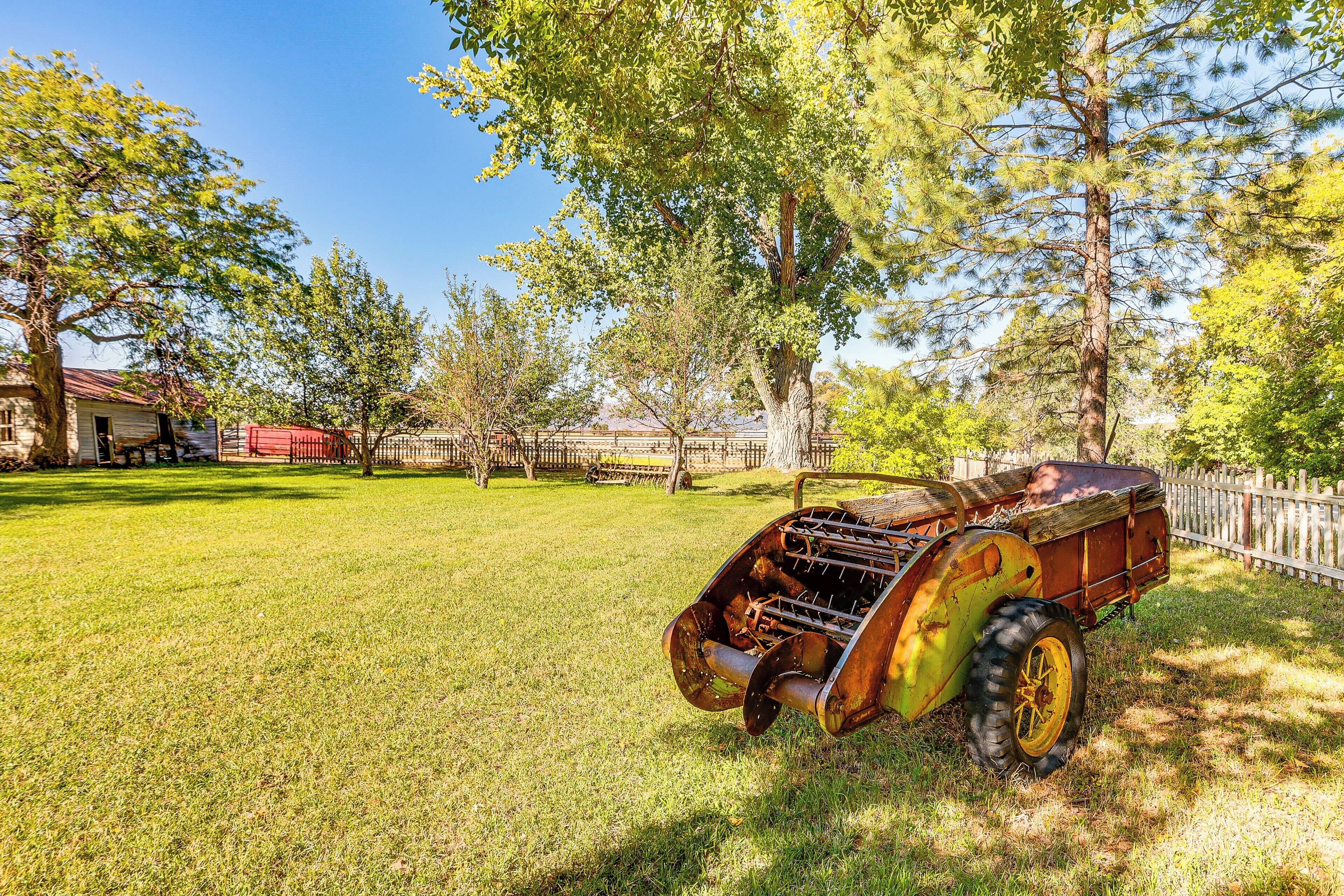 A grassy area with a vintage tractor.