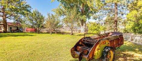 A grassy area with a vintage tractor.